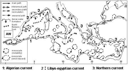 Mediterranean currents names